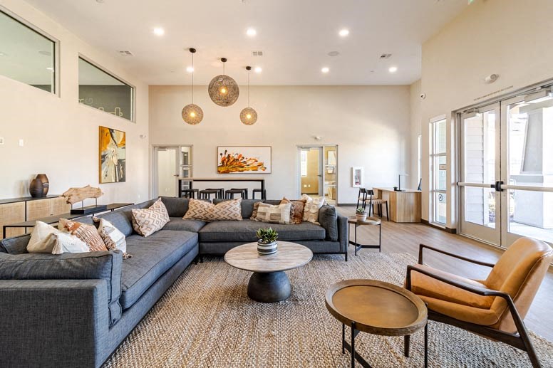 A living room with a grey couch and a brown rug.