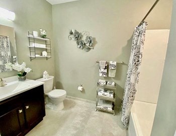 335 Ferry Blvd Studio-2 Beds Apartment for Rent - Photo Gallery 2