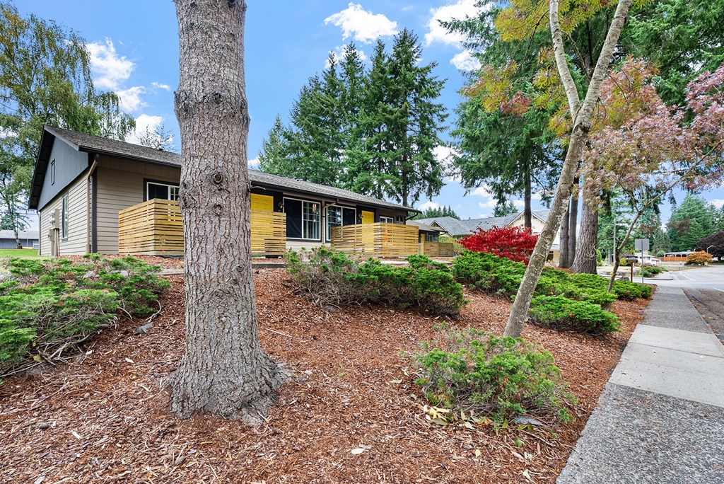 A tree stands in front of a yellow house.
