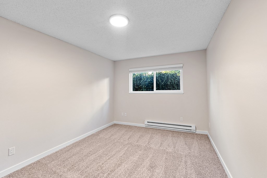 A room with a window and a carpeted floor.