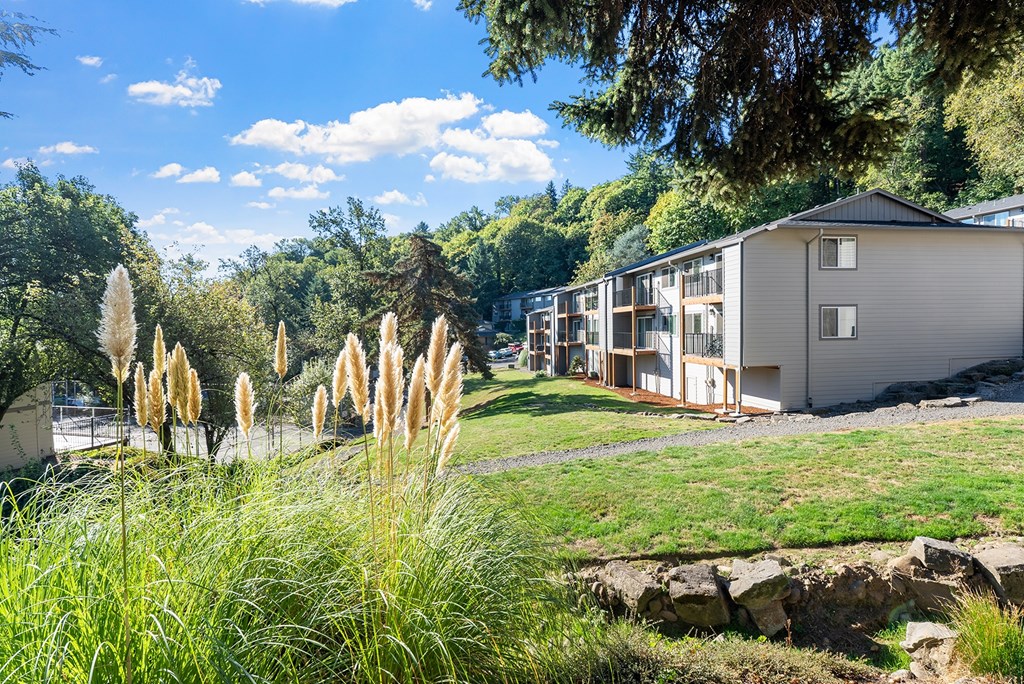 A grassy area with apartments in the background
