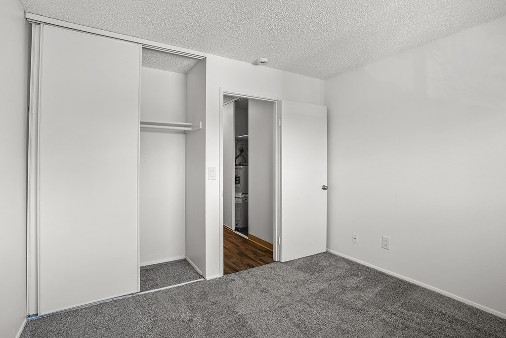 A bedroom with a closet and a carpeted floor.