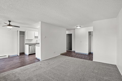A spacious living room with a grey carpet and a ceiling fan.