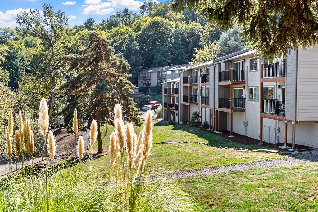 Green area with trees and an apartment building