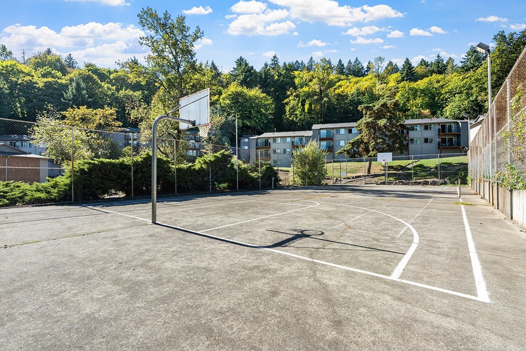 A basketball court is surrounded by trees and buildings.