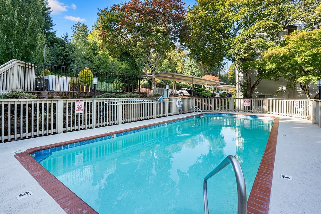 A small pool surrounded by a fence.