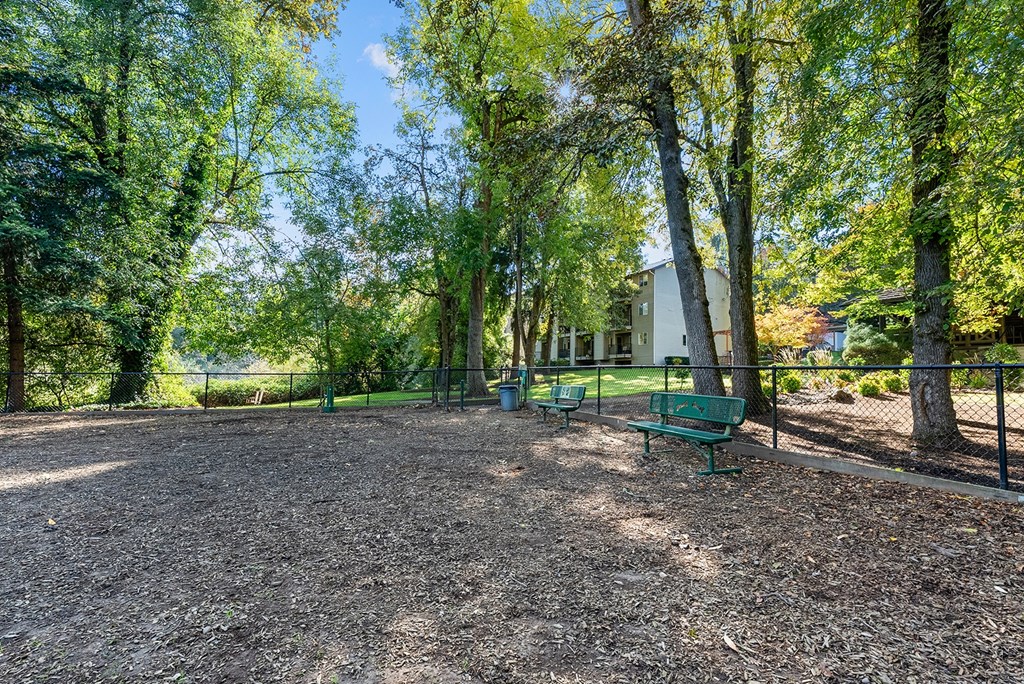 Dog park with surrounding trees