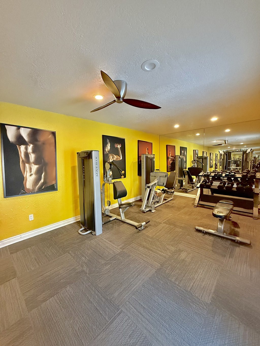 A gym with a variety of equipment including a treadmill, weights, and a bench press.