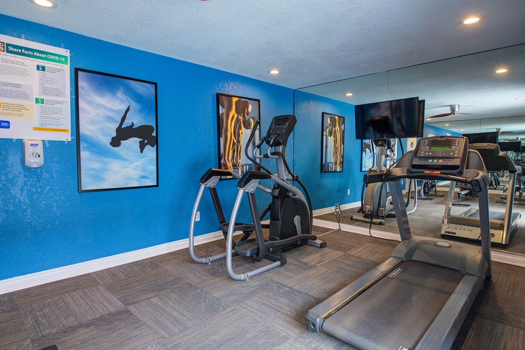 the gym at the enclave at woodbridge apartments in sugar land, tx at Dwell Apartment Homes, Riverside