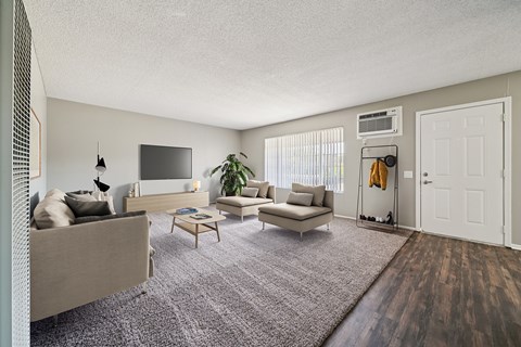 A living room with a couch, a chair, a coffee table, and a television.