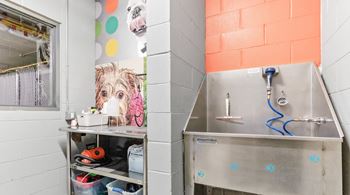 A pet washing station