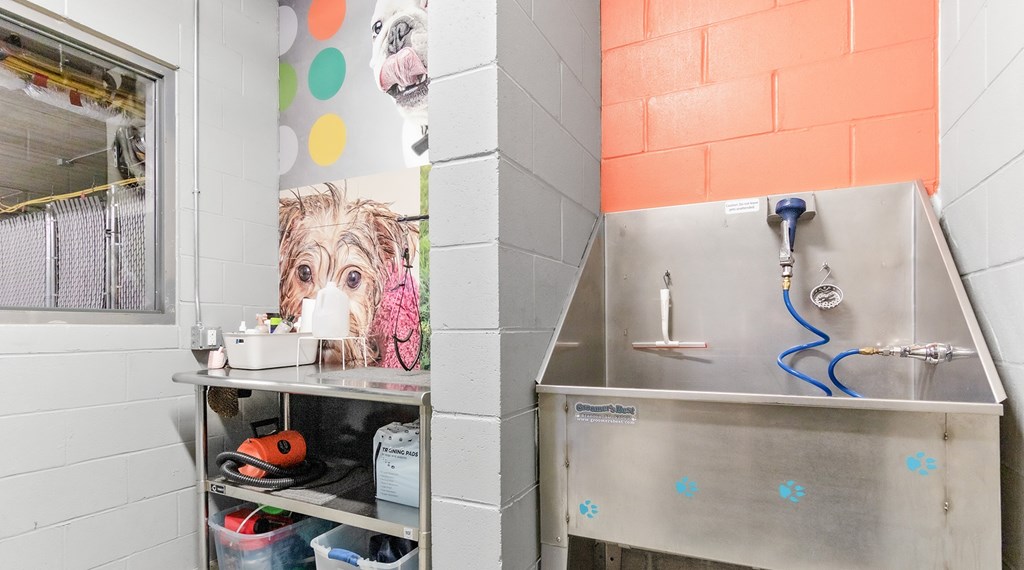 A pet washing station