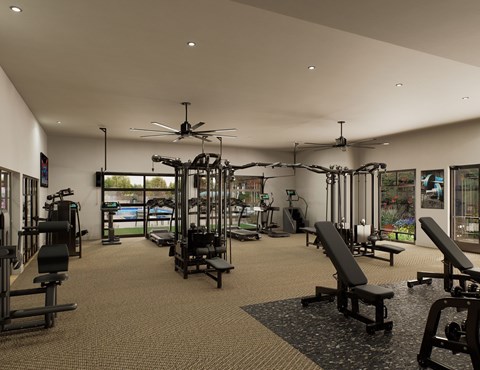 A spacious gym with a variety of equipment including treadmills, weight benches, and a rowing machine.