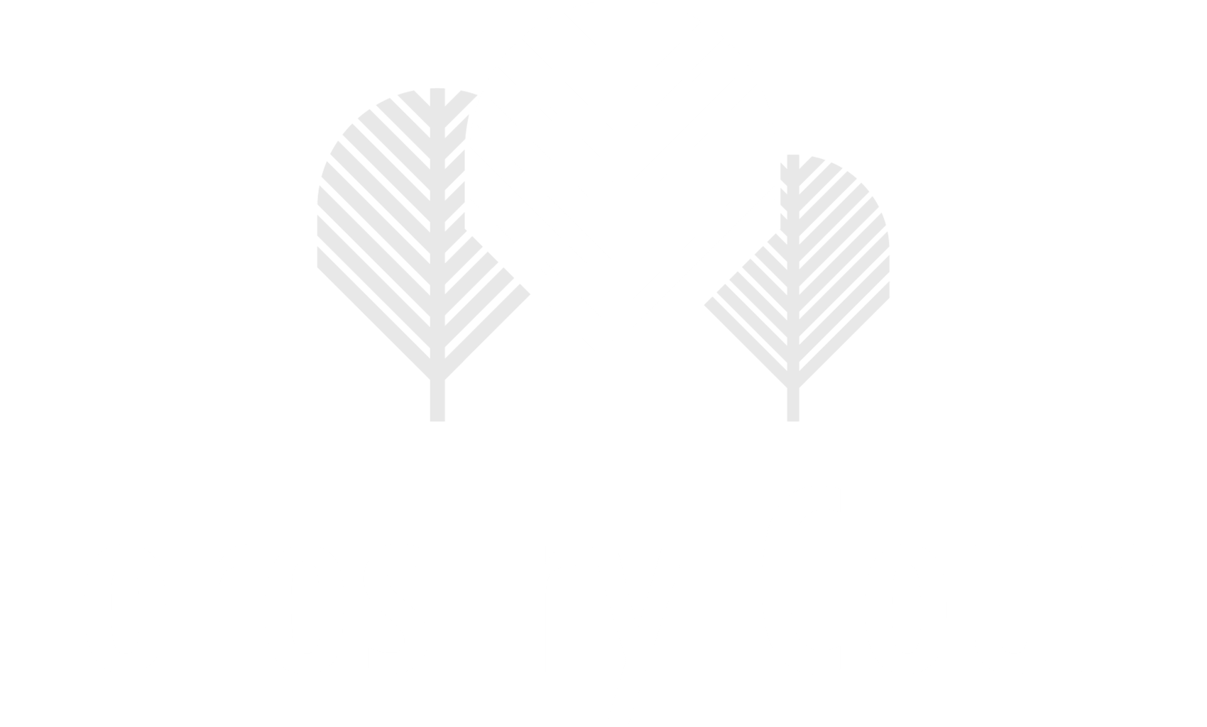 A logo with the text