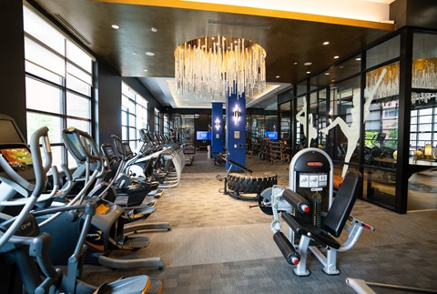 A gym with a variety of exercise equipment including treadmills, stationary bikes, and weight machines.
