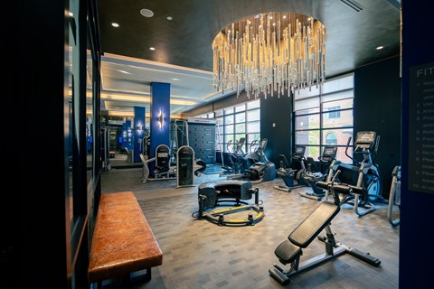 A gym with a variety of equipment including a bench, weights, and a treadmill.