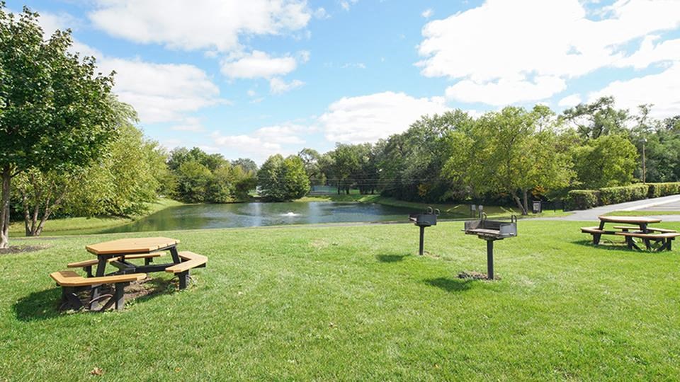 Picnic Area at The Mark Apartments, Illinois, 60139