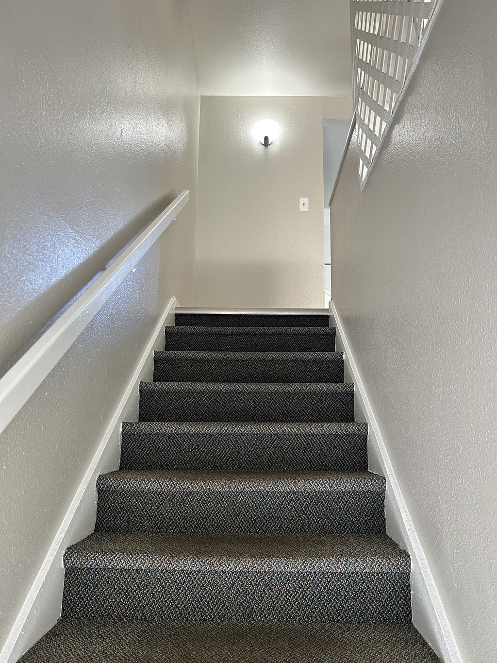 a staircase with carpeted stairs