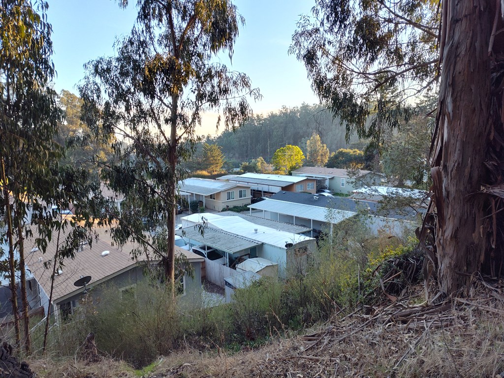 A view of homes and trees at Salinas Sunset Apartments, Salinas, CA, 93907
