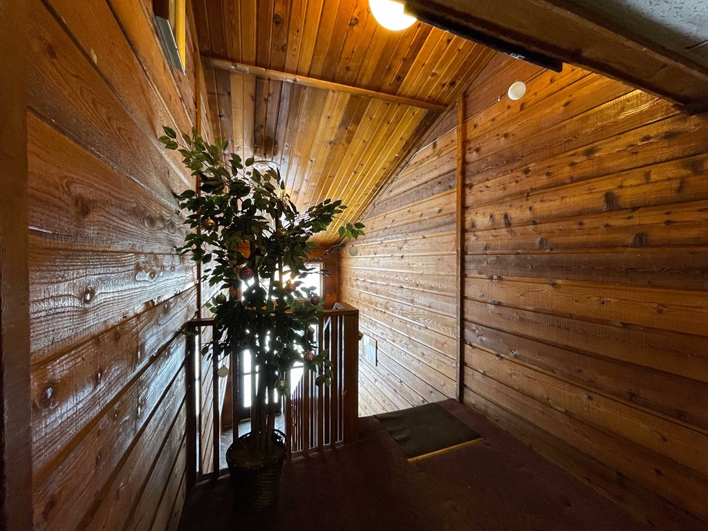 a plant on a table in a room with wooden walls