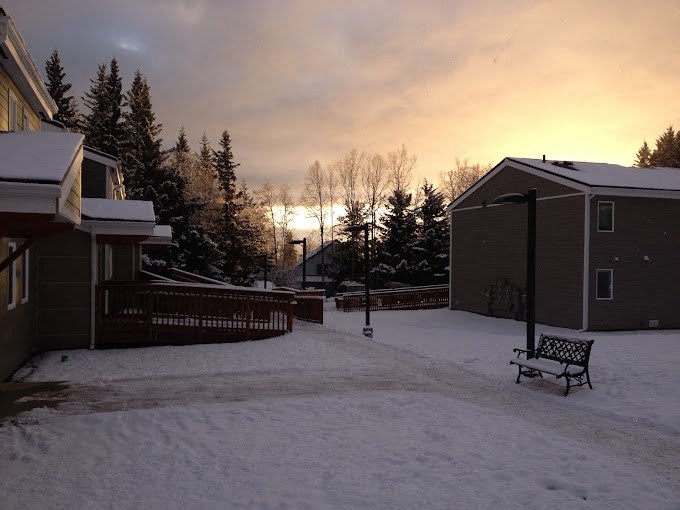 a snow covered yard with a bench at Conifer Woods Apartments, Homer, 99603