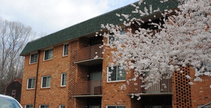 Exterior shot of The Jeffersonian with cherry blossoms blooming