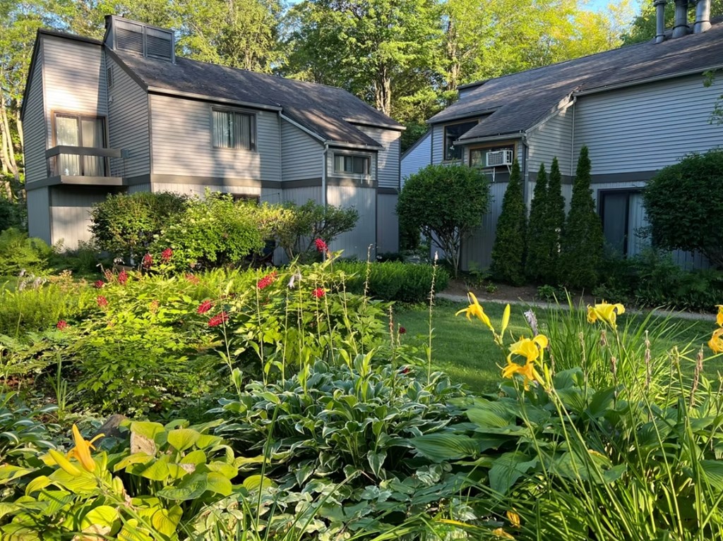 A garden with a variety of plants and flowers in front of two houses.