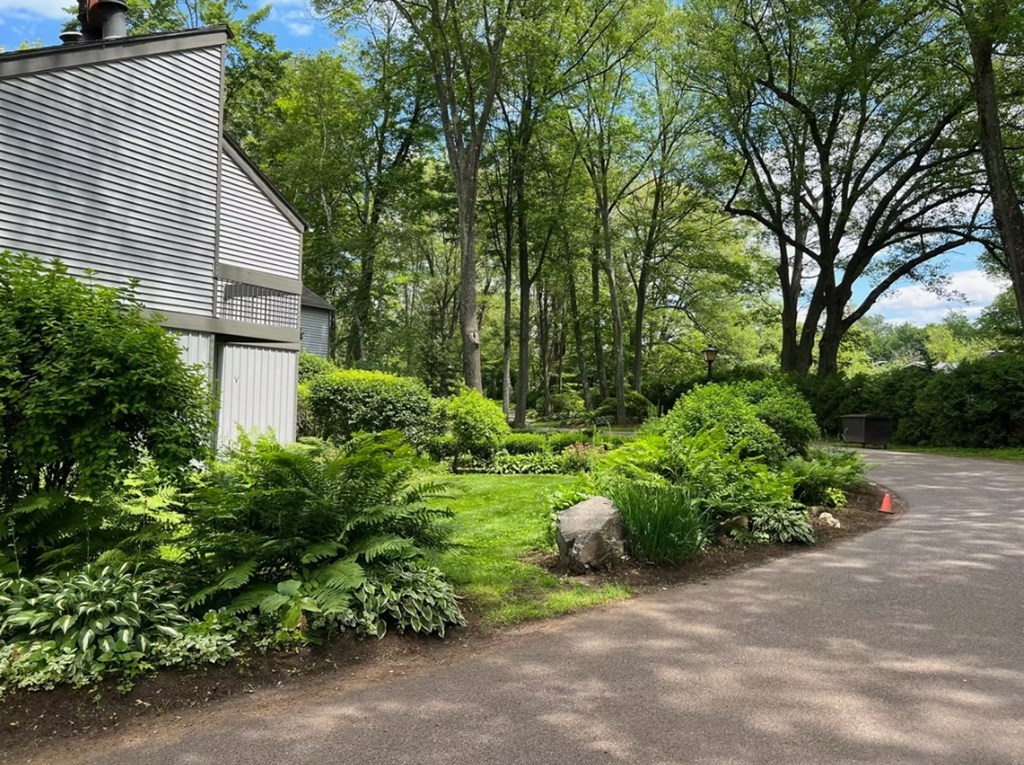 A large rock is in the middle of a driveway surrounded by green plants.