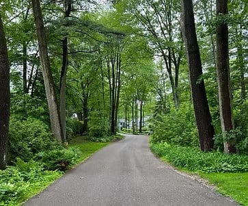 A tree-lined road stretches into the distance.