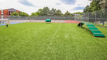 A green grassy field with a red track and a green bench.