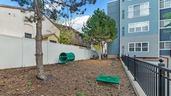 A backyard with a tree, a bench, and a fence.