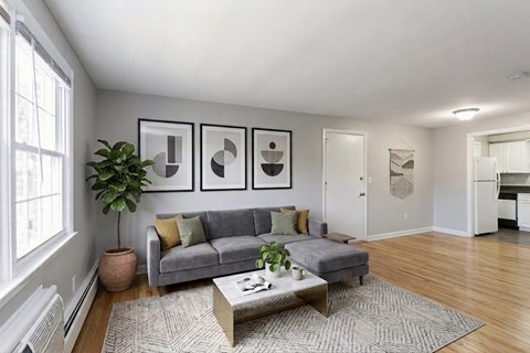 A living room with a grey couch, a coffee table, and three framed pictures on the wall.