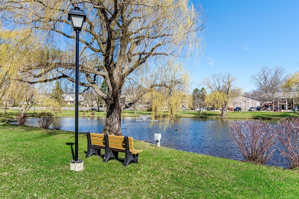 A park bench sits next to a lamp post on a grassy area.