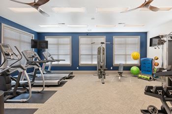 a gym with exercise machines and weights in a room with blue walls