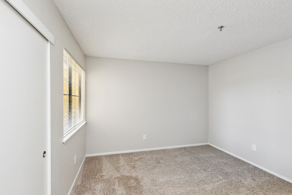 Wall-To-Wall Carpeting at ReNew on Summerfield, California