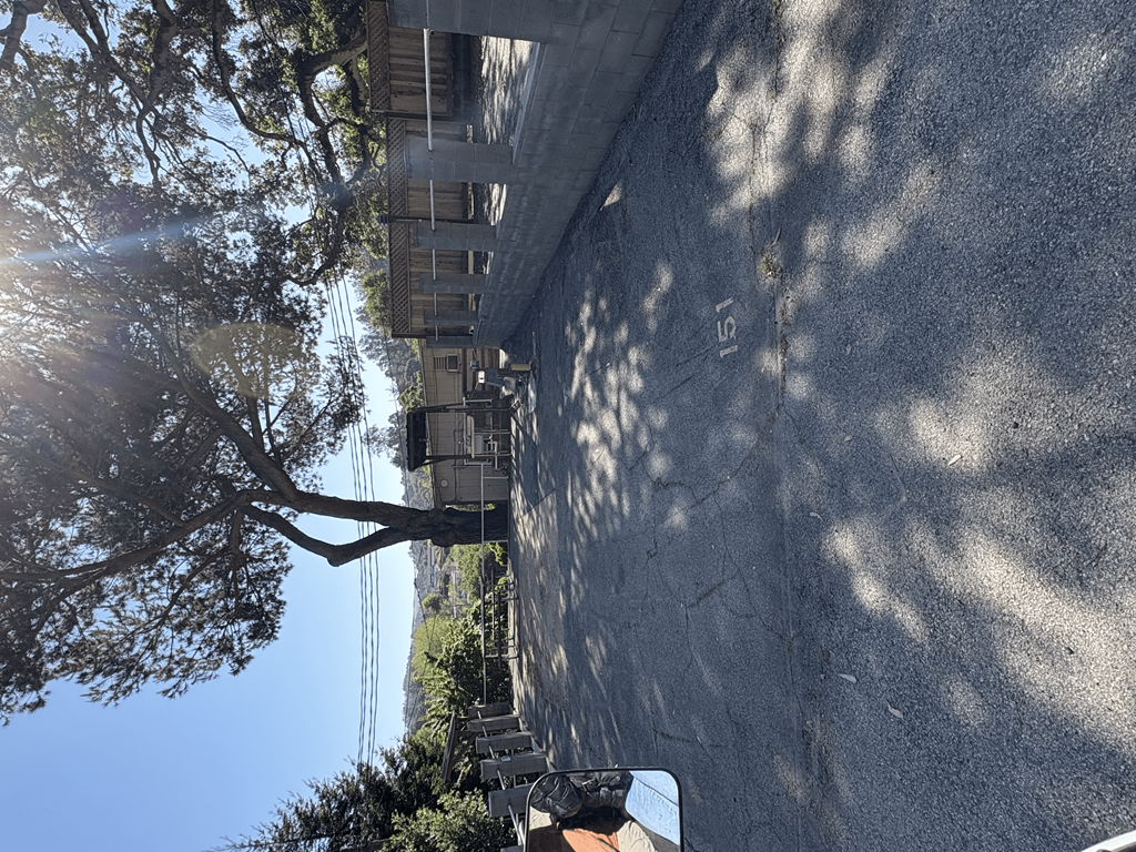 A tree is casting a shadow on a wall.