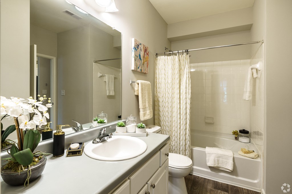 a bathroom with a sink and a toilet and a shower