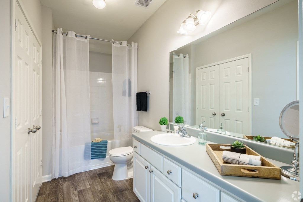 a bathroom with a large mirror and a toilet and a sink