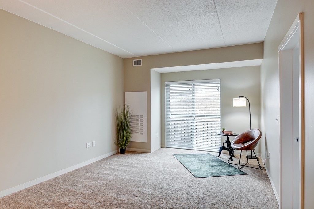 A room with a carpet, a chair, a potted plant, and a lamp.