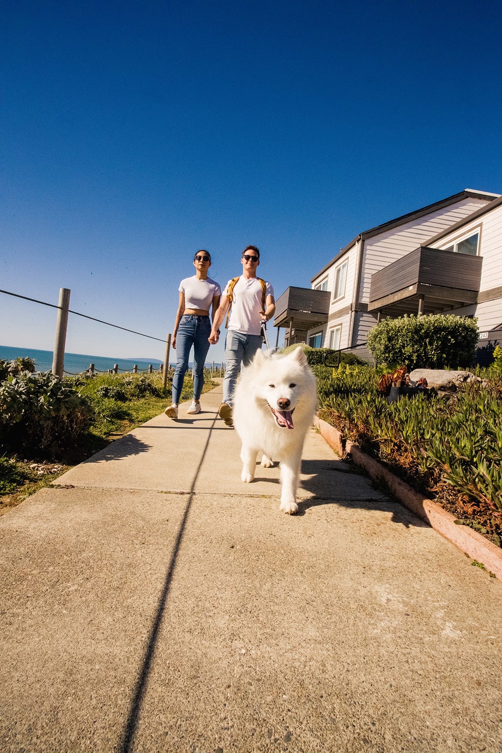 two people walking a white dog down a sidewalk