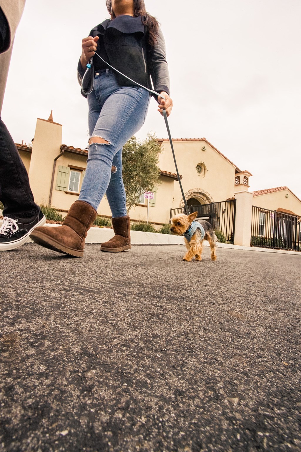 a woman walking a dog on a leash in the street