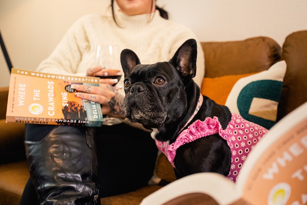 a woman sitting on a couch with her dog and reading a book