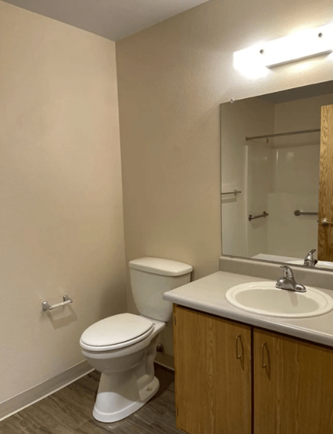 A white toilet sits next to a sink in a bathroom.