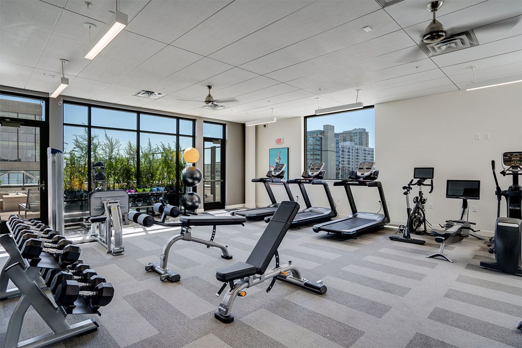 A gym with treadmills, dumbbells, and exercise equipment at Sora Apartments, Minnesota
