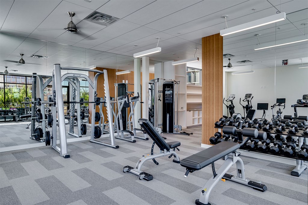 A spacious gym with a variety of equipment including treadmills, weights, and benches at Sora Apartments, Minneapolis