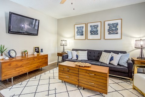 a living room with a couch and a tv at The Hub at Baton Rouge, Baton Rouge, LA