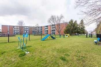 a park with agility equipment and a building in the background