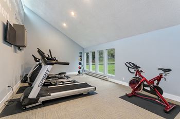the gym has plenty of cardio equipment and a treadmill