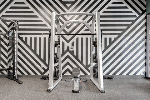 A gym with a weight bench and a squat rack. at The Shale, Minneapolis, 55406