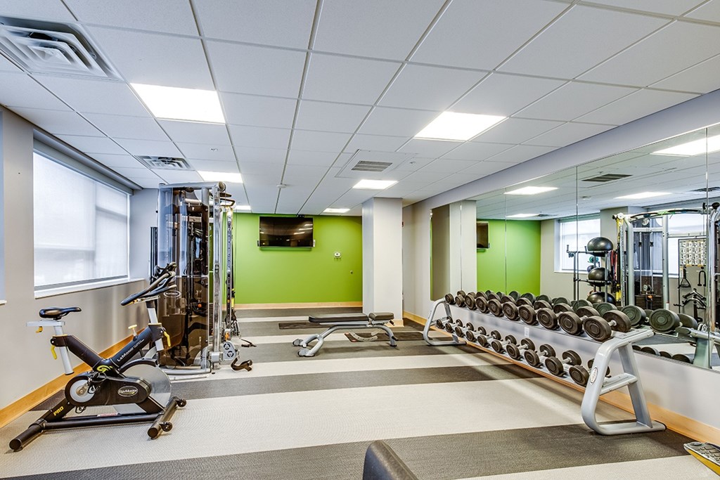 A gym with a variety of equipment including weights and cardio machines.